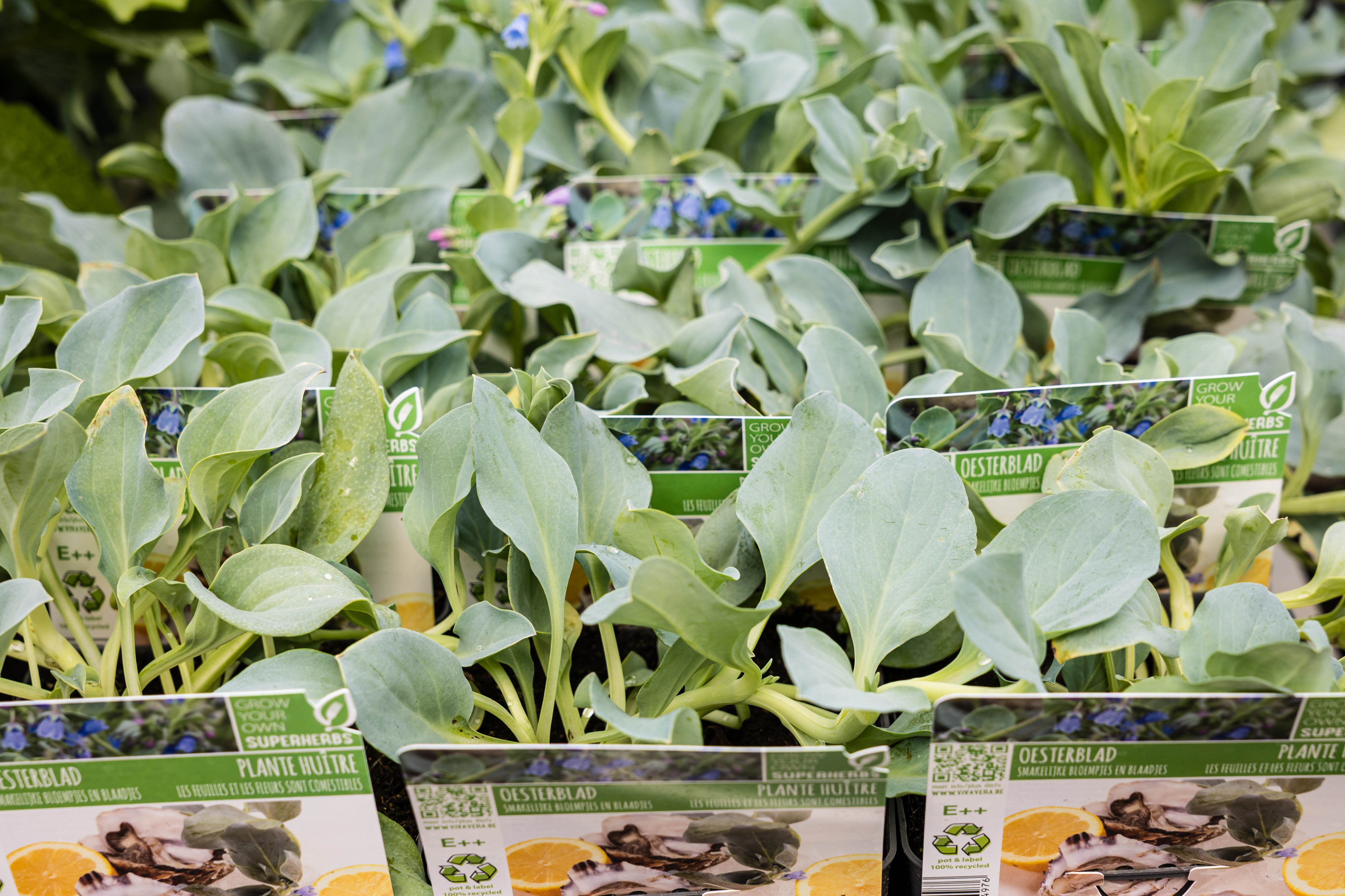planten en etiketten