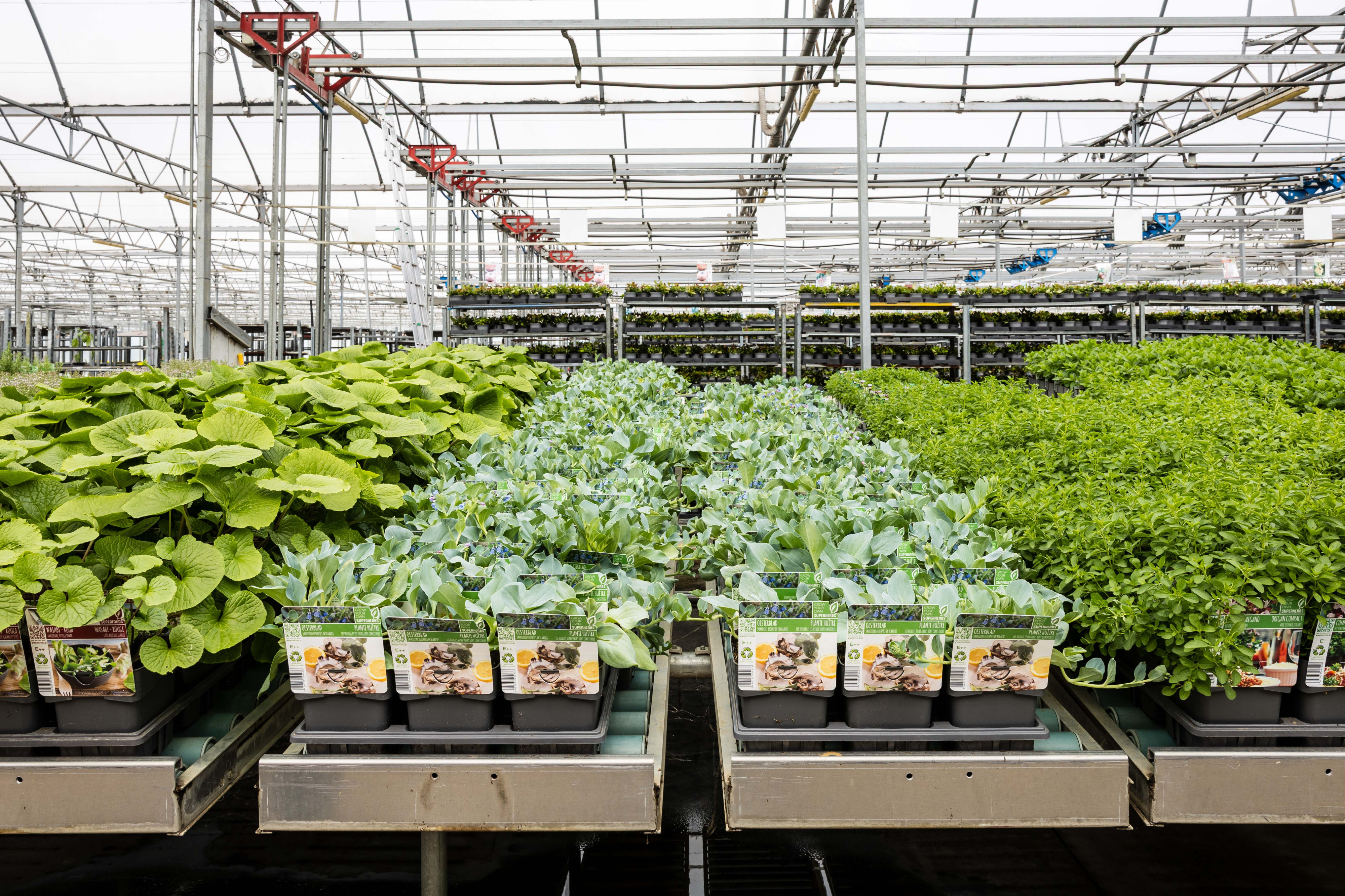 planten en etiketten