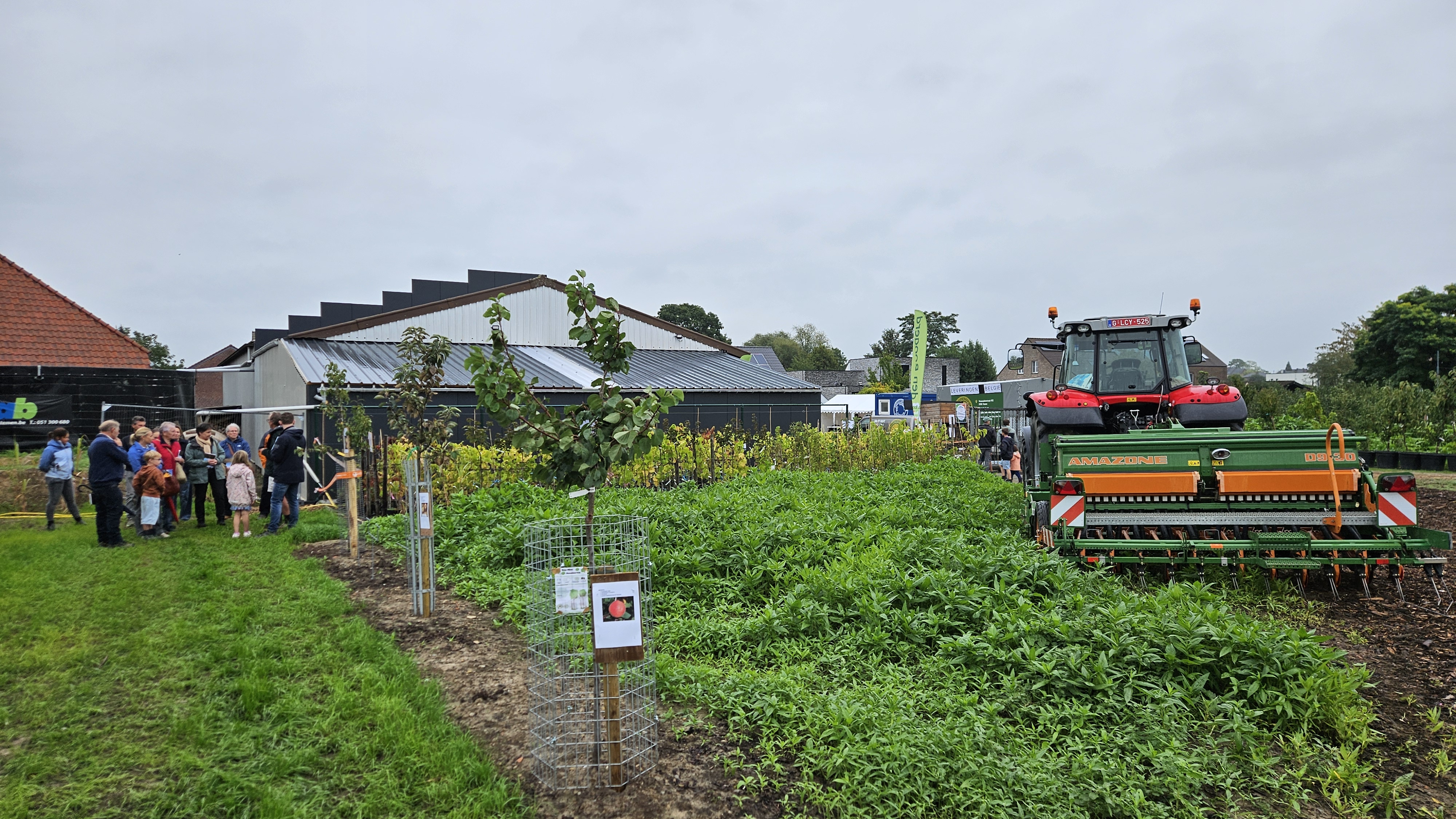 boomkw Hageland