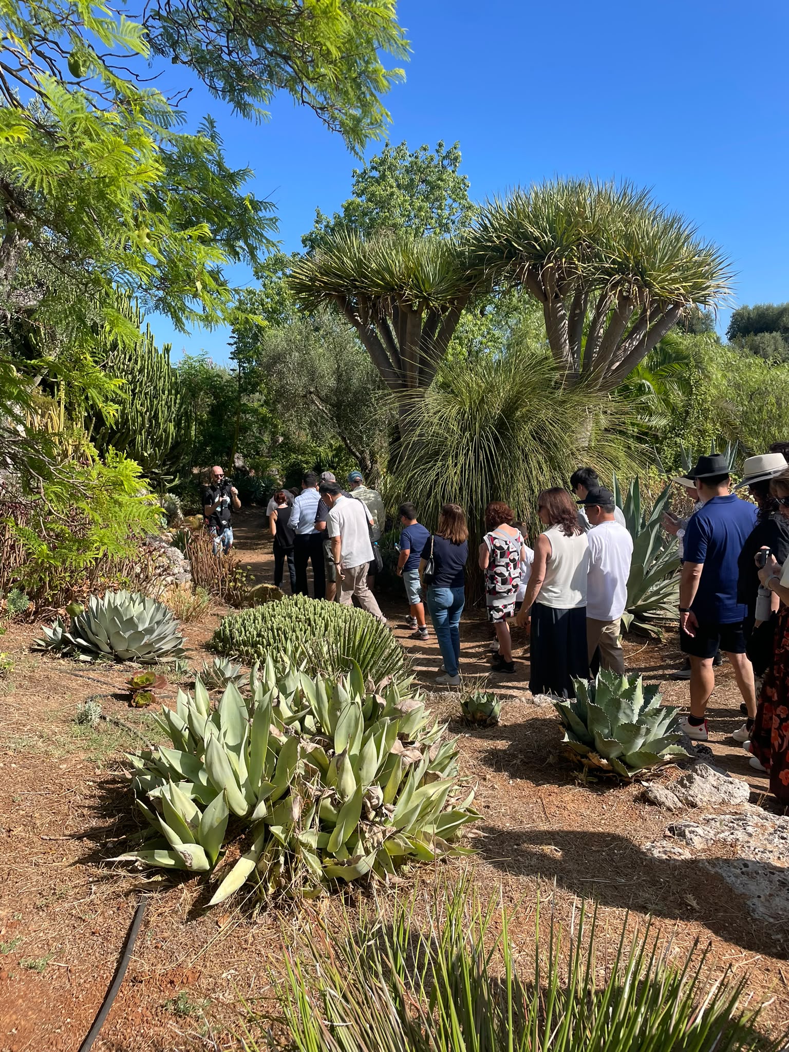 de botanische tuin