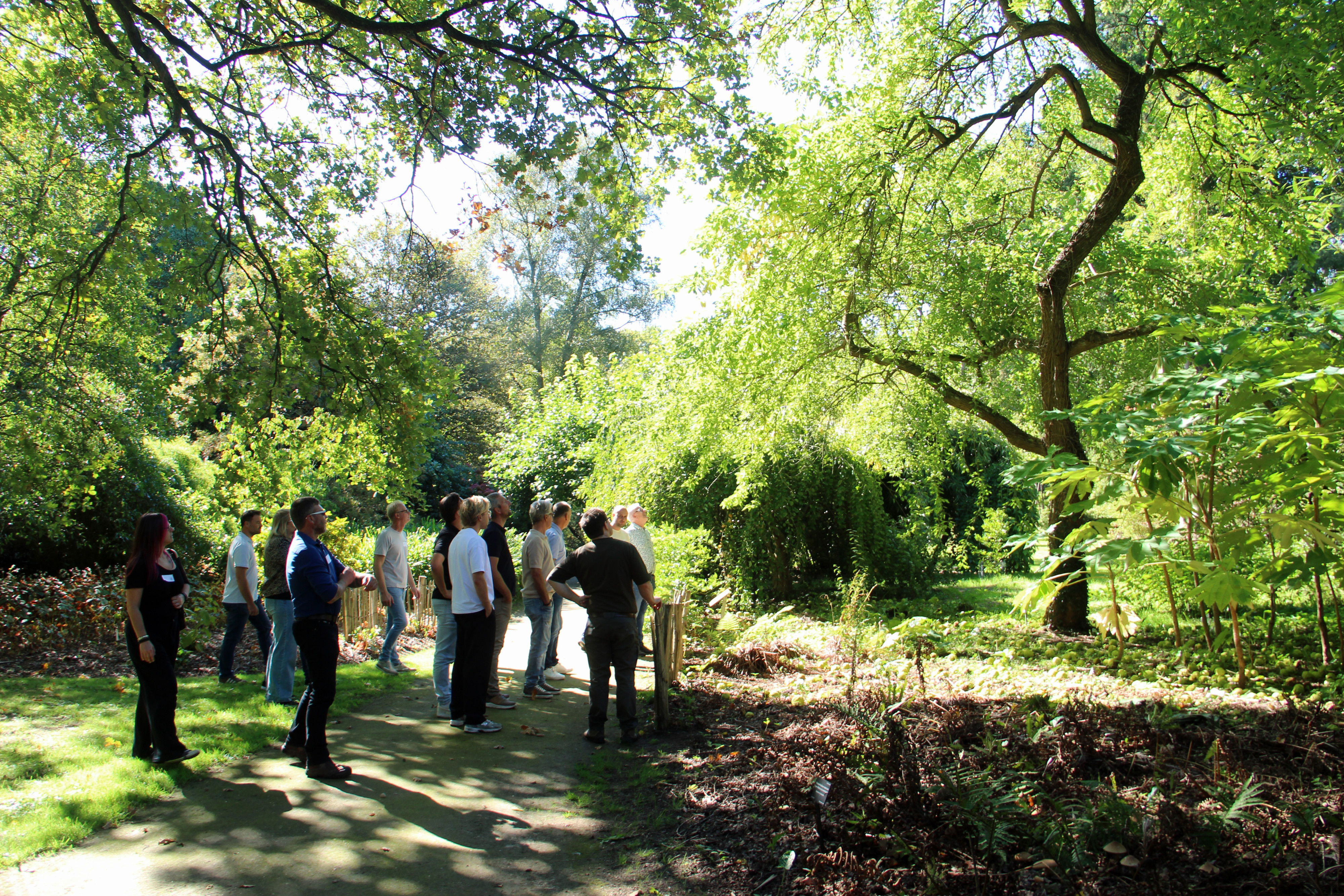 arboretum bokrijk