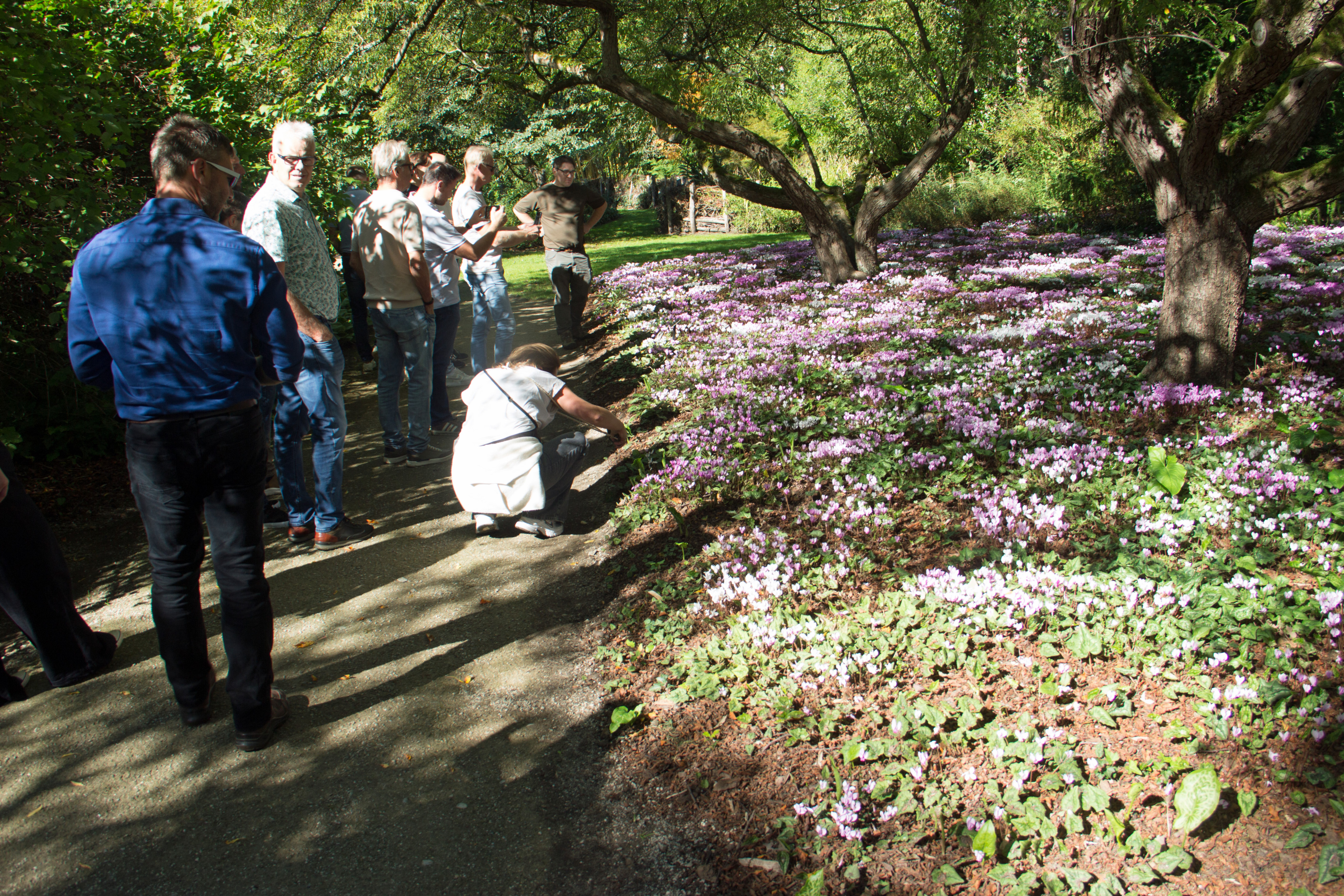 arboretum bokrijk