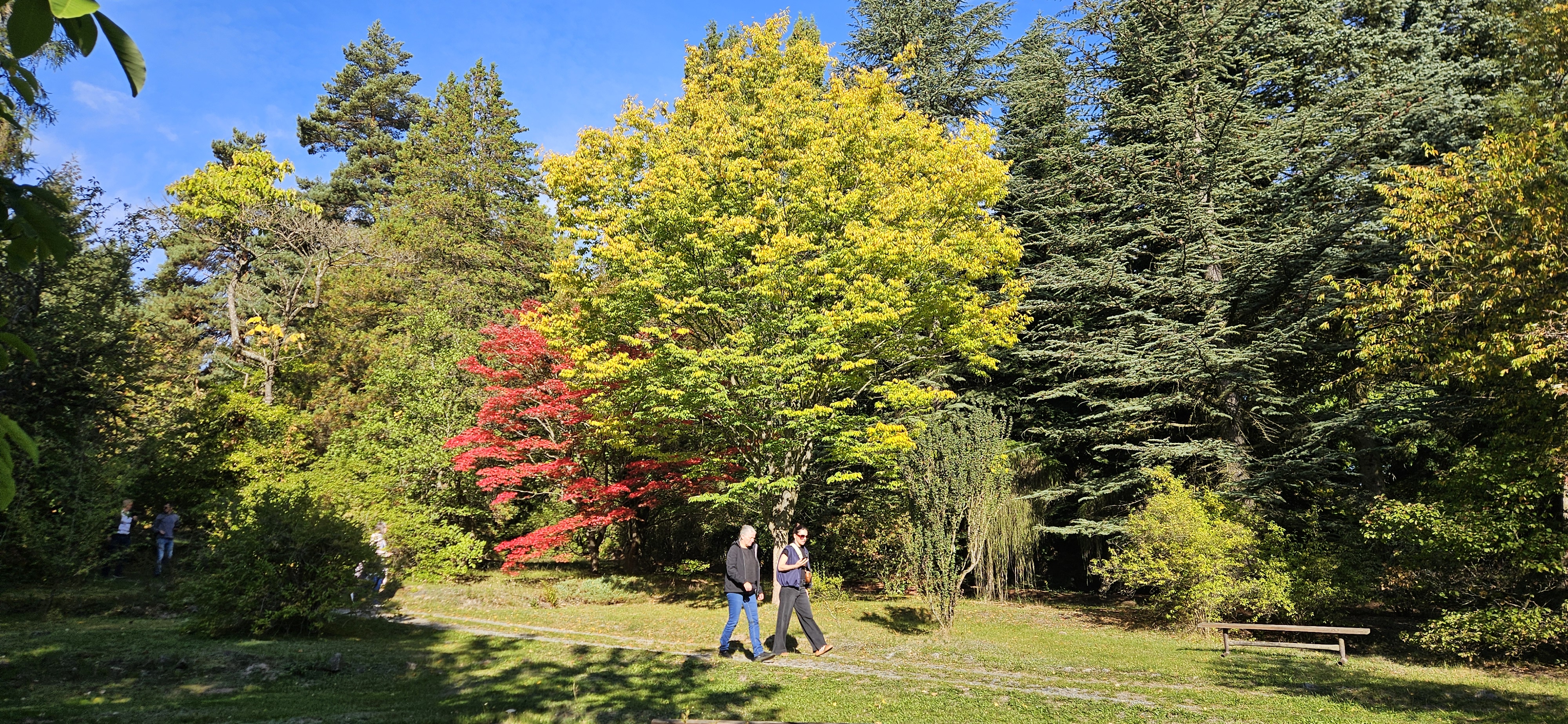 arboretum Kostelec