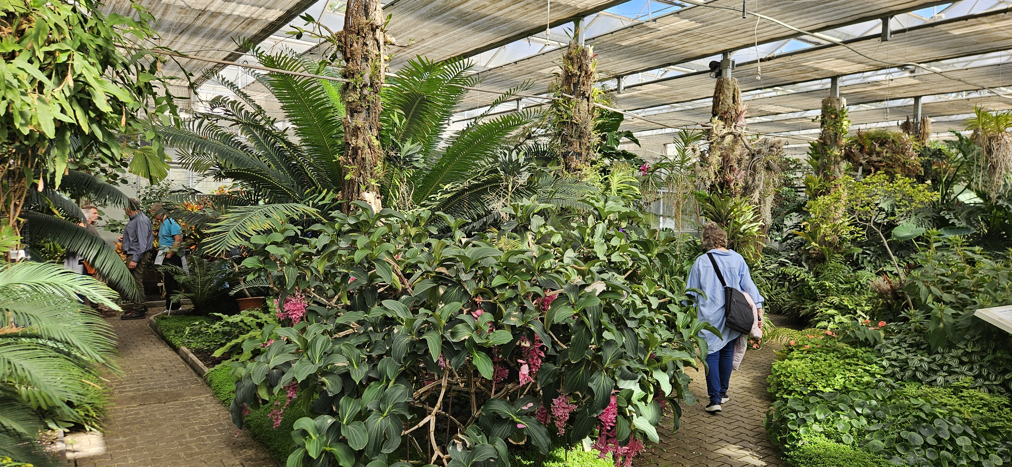 Tuinbouwschool Jarov Tsjechië