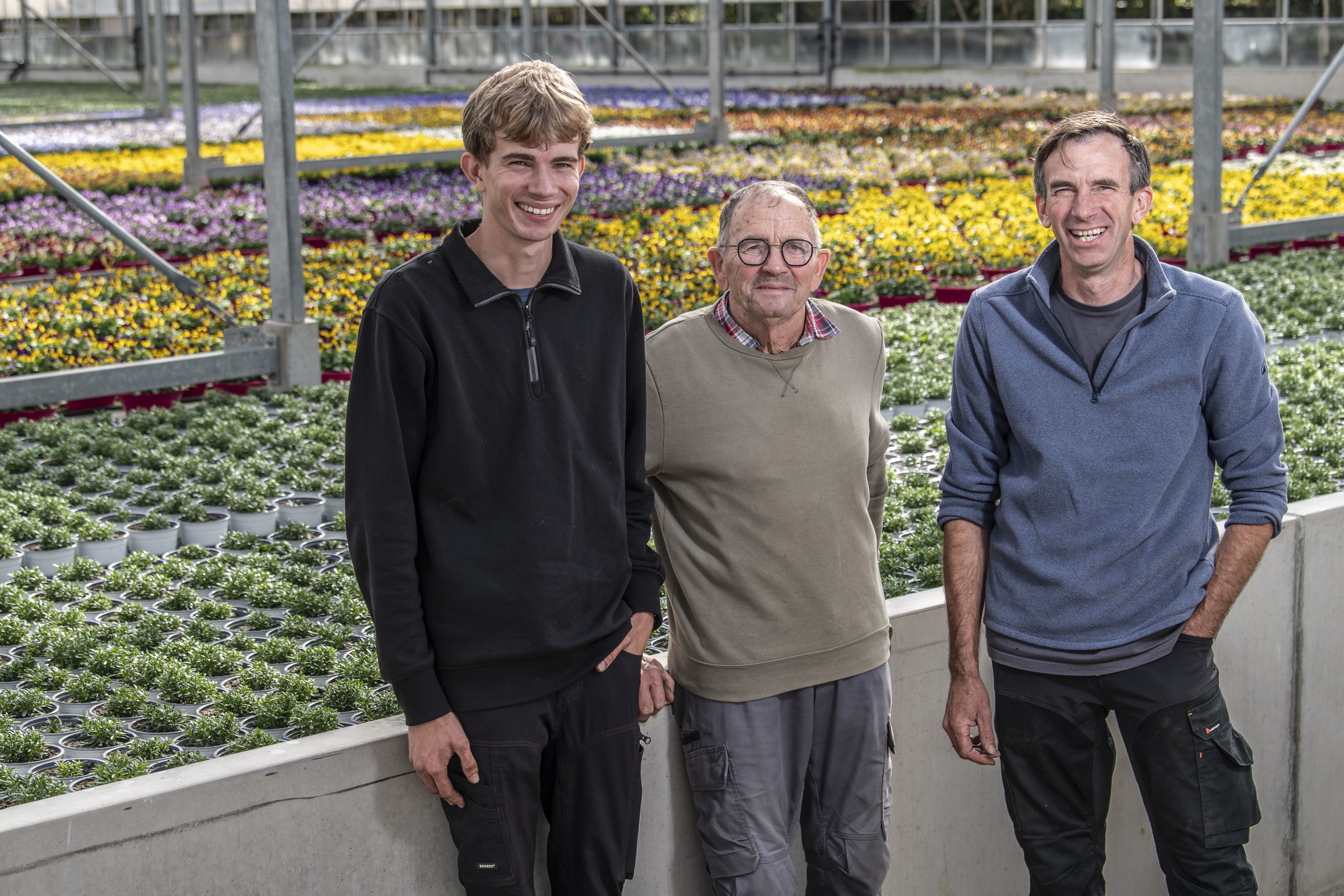 Juul, Frans en Marc Dello