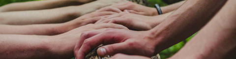Foto ketenoverleg - voor een sterkere sierteelt - foto Unsplash