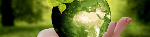 werken aan een groene wereld