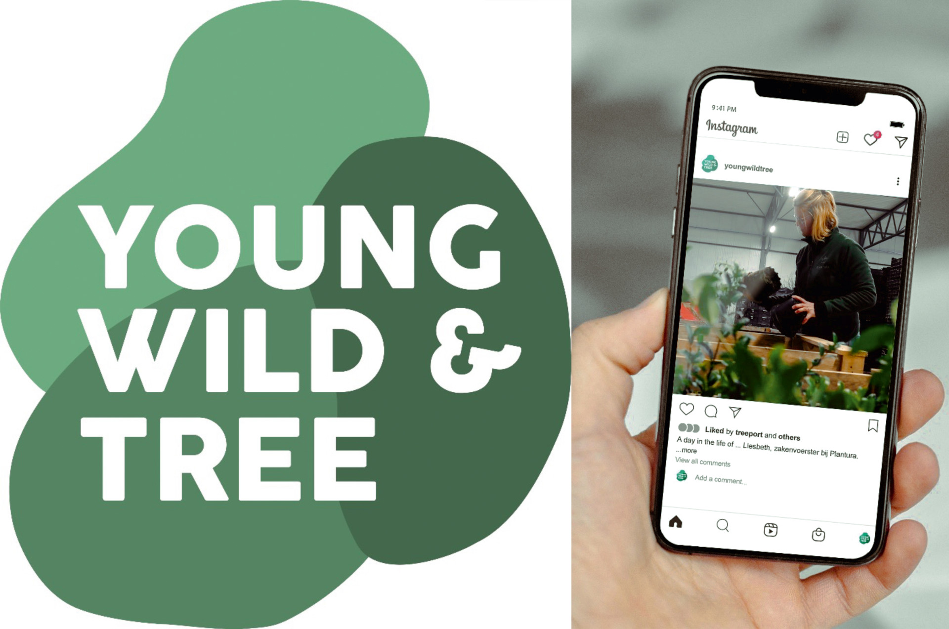Young_Wild_tree_web.jpg