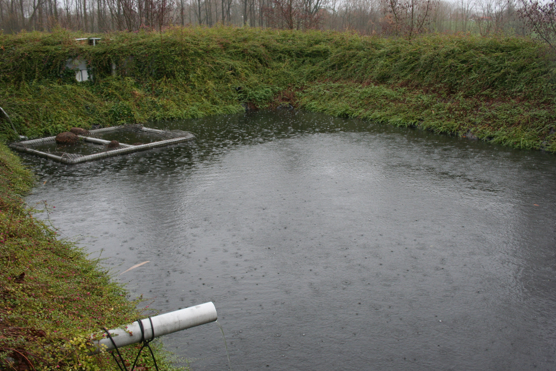 Water en waterzuivering - foto Luc Van Dijck Boerenbond