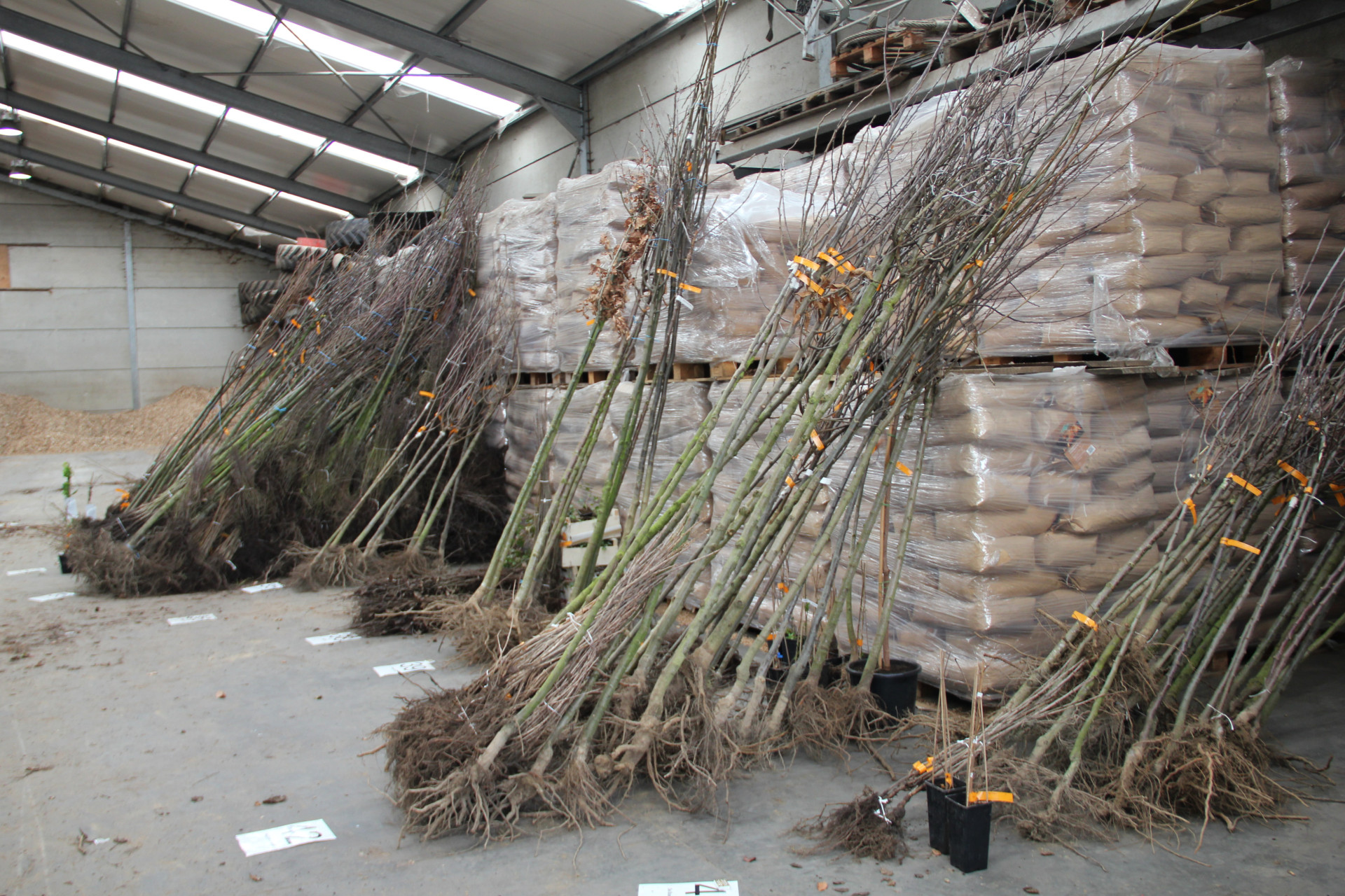 Boomkwekerijproducten - foto AVBS