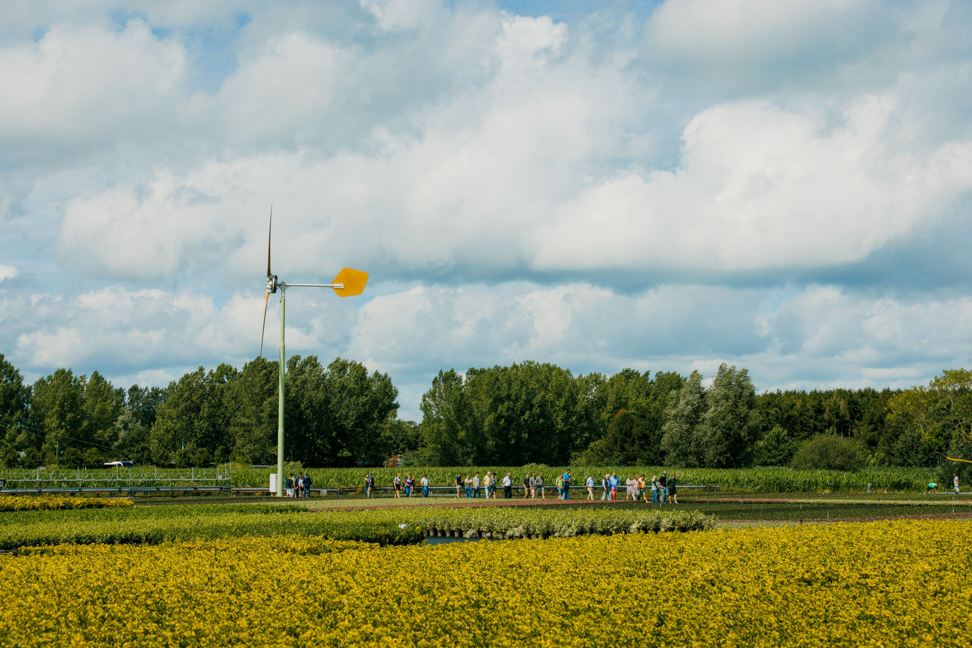 Dag van de innovatie in de sierteelt 2024 - thema energie - foto's Florian Boterdaele - ®WideOpen