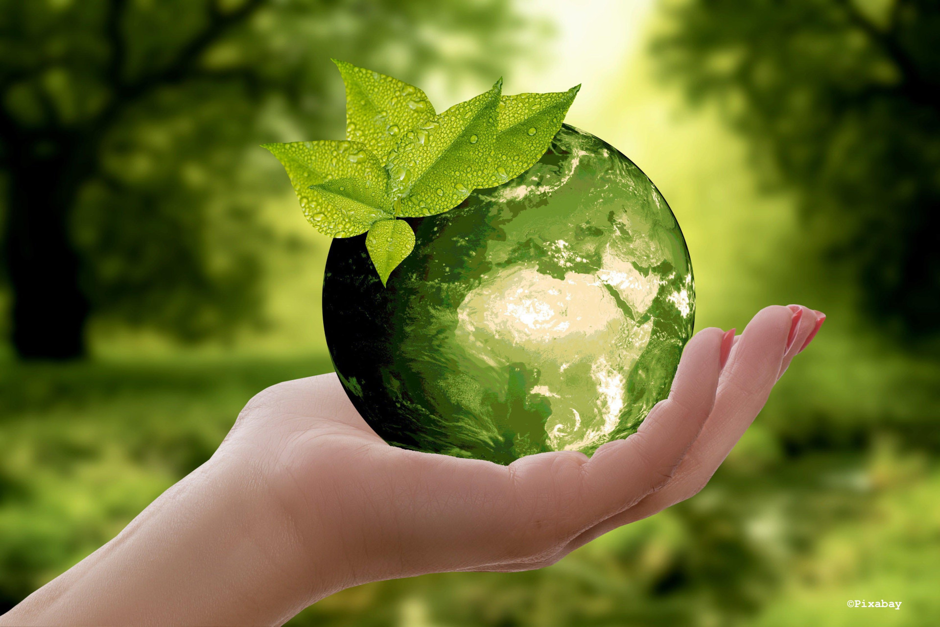 werken aan een groene wereld