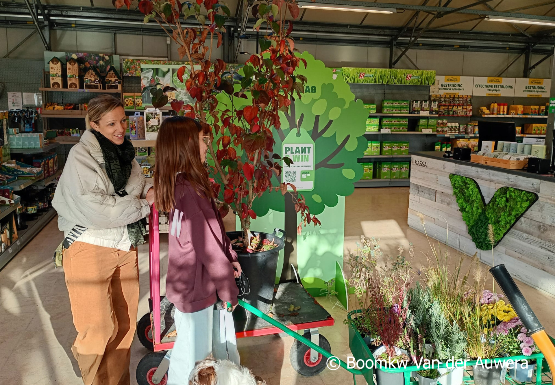 moeder en dochter kopen sierplanten