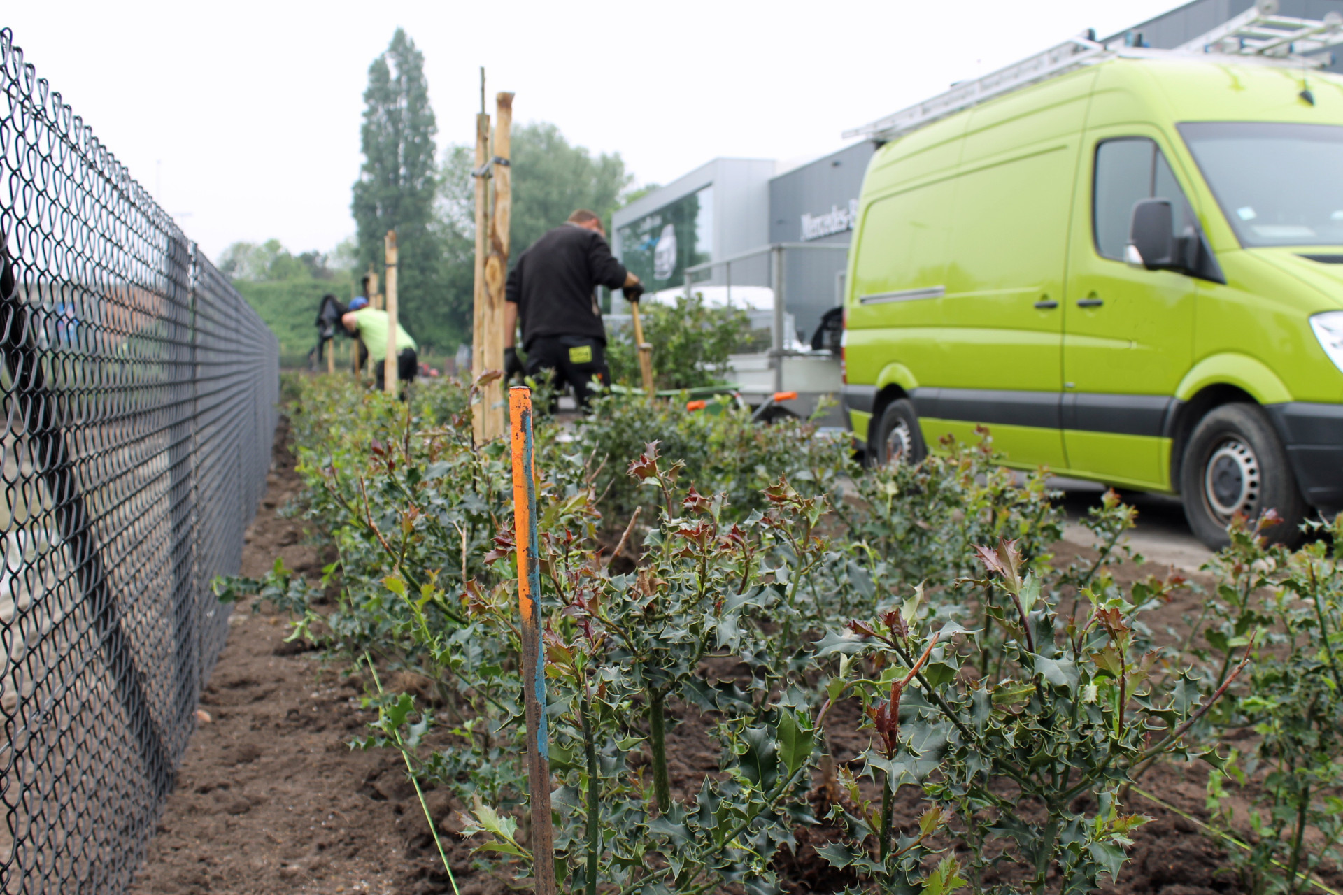 werf tuinaanleg planten