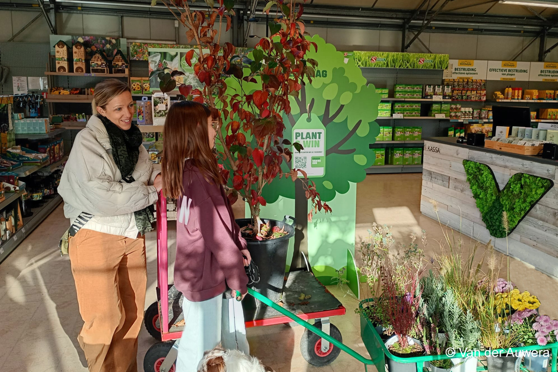 boomplantdag