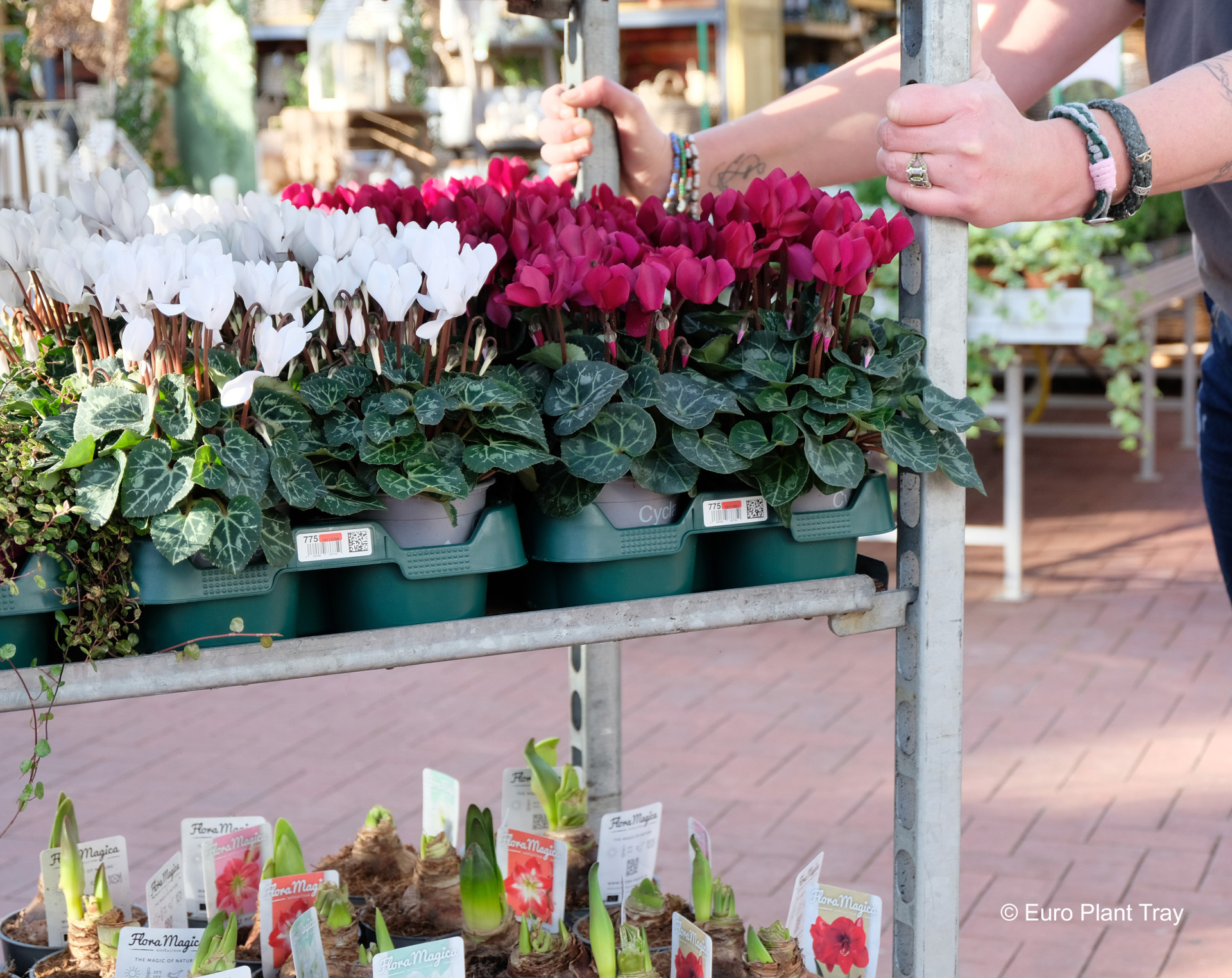 potten en trays CC container