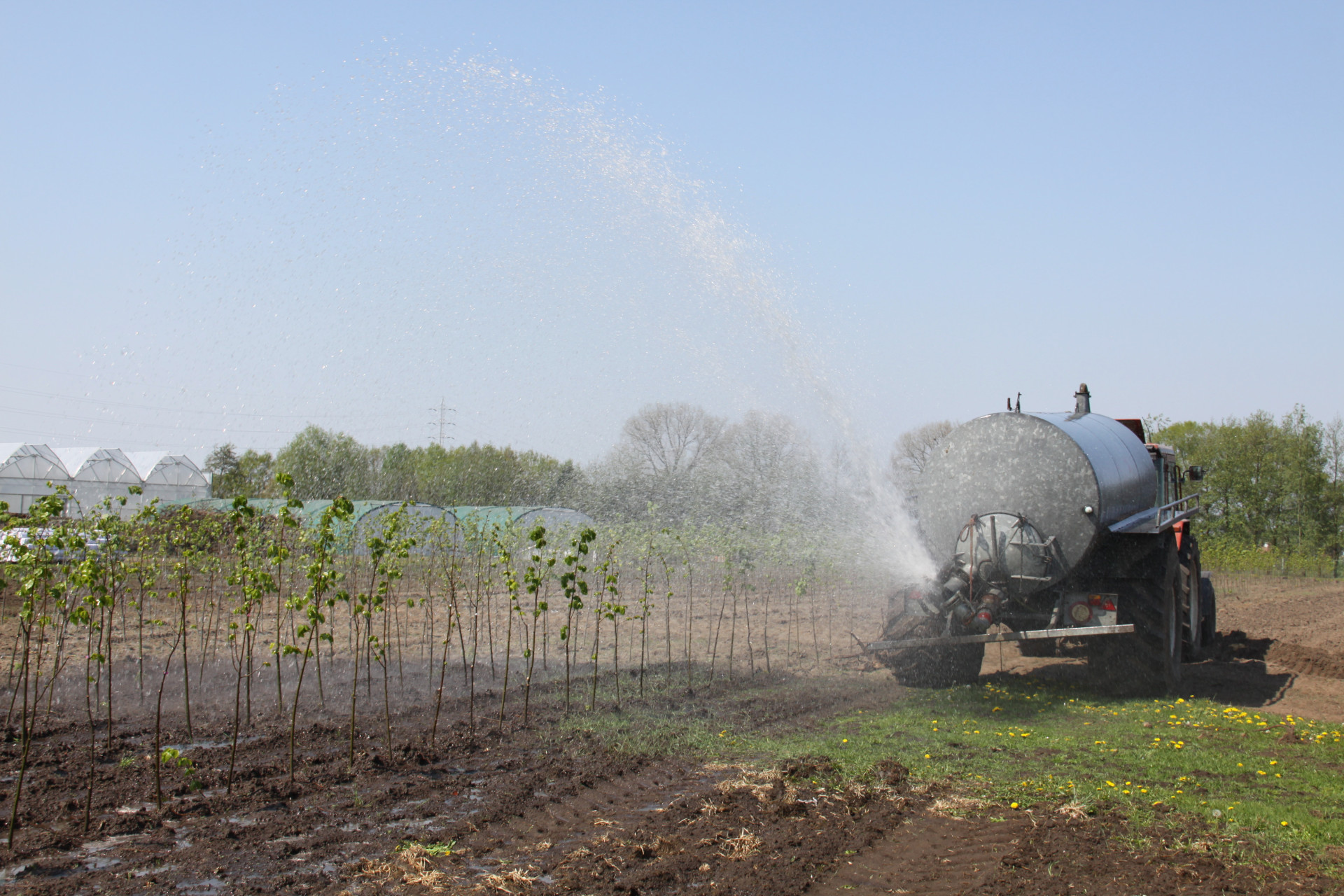 water geven in boomkwekerij