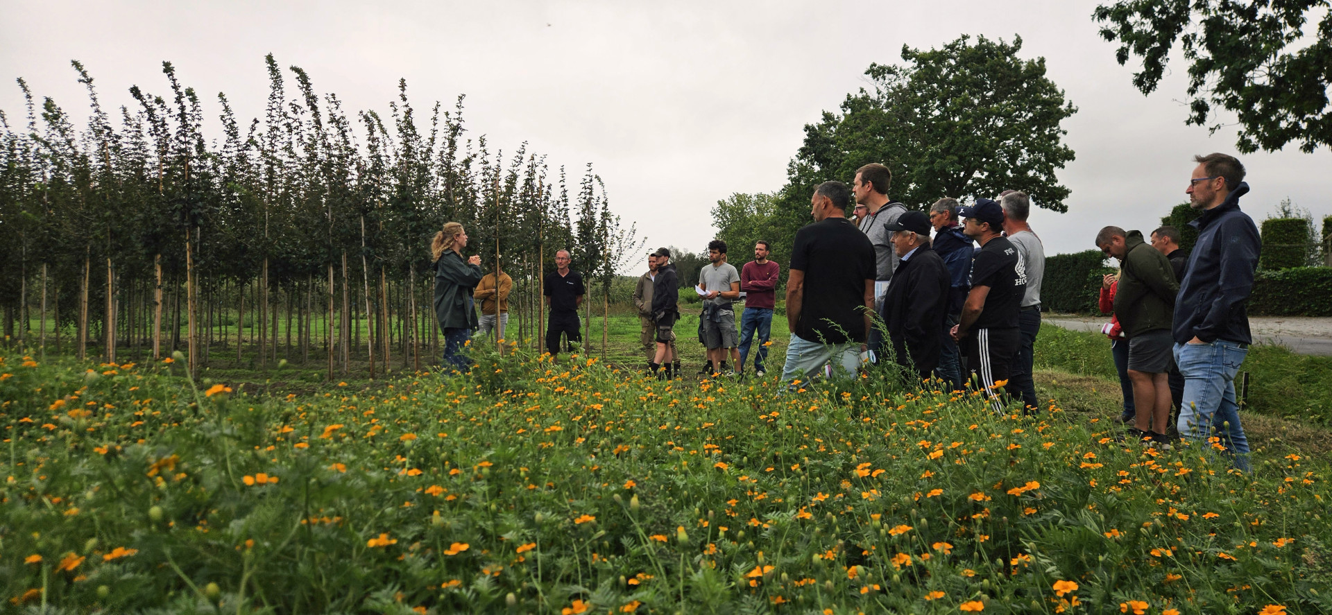 groep boomkwekers luistert naar onderzoeker